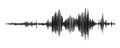 Seismograph measurement or lie detector graph. Seismic measurements with data record. Vector illustration