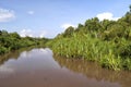 Sekonyer River, Tanjung Puting National Park, Borneo Royalty Free Stock Photo