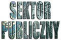 Sektor publiczny - public sector.