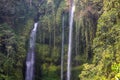 Sekumpul waterfall, in the middle of the jungle, cascading into a deep green gorge. Trees, tropical plantsBali, Indonesia. Royalty Free Stock Photo