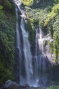 Sekumpul Waterfalls surrounded by tropical forest in Bali, Indonesia