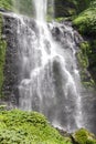 Sekumpul Waterfalls surrounded by tropical forest in Bali, Indonesia