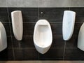 Urinal bowls are installed in men`s public toilets.