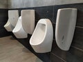 Urinal bowls are installed in men`s public toilets.