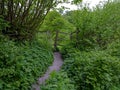 View of ancient stile on a footpath in the Lythes near St Mary`s Church in Selborne, Hampshire, UK Royalty Free Stock Photo