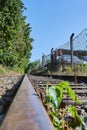 Seldom used, weathered railway line that is gradually overgrown by plants.