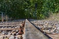 Seldom used, weathered railway line that is gradually overgrown by plants