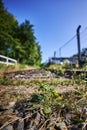 Seldom used, weathered railway line that is gradually overgrown by plants