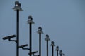 select focus black solar lamp pole with blue background Royalty Free Stock Photo