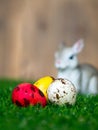 Select focus of the colorful easter eggs. Placed on green grass. Have a cute rabbit in the back. The back is a brown wood frame. T