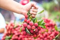 Selected focus on fresh lychees hold by hand in Thai market back
