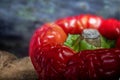 Macro Photo of Shinny Glowing Decaying Pepper Royalty Free Stock Photo