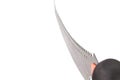 Steel blade of Curved Pruning saw.