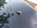 Selected focusing on raindrops and dew on black metal surfaces.