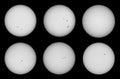 Selected views of the visible surface of the Sun, showing sunspots.