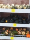 A selectioin of pumpkins and squashes.