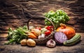 Selection of autumn fresh harvest of vegetables on a vintage wooden surface