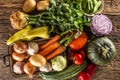 Selection of autumn vegetable harvest from the top on a rustic surface