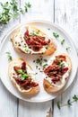 Gourmet Bruschetta With Roasted Tomatoes and Fresh Basil on a White Plate Royalty Free Stock Photo