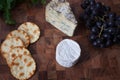 A selection of cheese, crackers and fresh coriander Royalty Free Stock Photo
