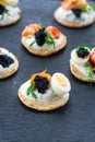 Selection of cocktail blinis - gourmet party food Royalty Free Stock Photo