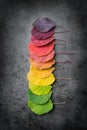 Selection of colorful autunm leaves Royalty Free Stock Photo