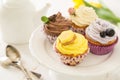 Selection of colorful cupcakes, white background Royalty Free Stock Photo