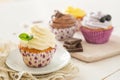 Selection of colorful cupcakes, white background Royalty Free Stock Photo