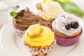 Selection of colorful cupcakes, white background Royalty Free Stock Photo