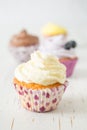 Selection of colorful cupcakes, white background Royalty Free Stock Photo