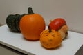 Autumn harvest of colourful pumpkin and squash variety. Royalty Free Stock Photo