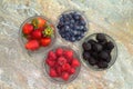 Selection of different fresh berries in glass jars Royalty Free Stock Photo