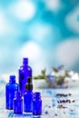 Selection of essential oils bottles and herbs and flowers, thyme and borage on a blue background.