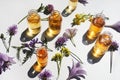 Selection of essential oils, with herbs and flowers on white background. Top view Royalty Free Stock Photo