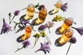 Selection of essential oils, with herbs and flowers on white background. Top view Royalty Free Stock Photo