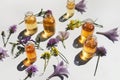 Selection of essential oils, with herbs and flowers on white background. Top view Royalty Free Stock Photo