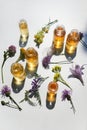 Selection of essential oils, with herbs and flowers on white background. Top view Royalty Free Stock Photo