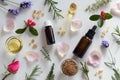 Selection of essential oils and herbs on a white background Royalty Free Stock Photo