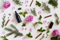 Selection of essential oils and herbs on a white background