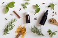 Selection of essential oils and herbs on a white background Royalty Free Stock Photo