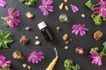 Selection of essential oils with myrrh, frankincense and fresh mallow flowers Royalty Free Stock Photo