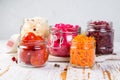 Selection of fermented food - carrot, cabbage, tomatoes, beetroot, copy space