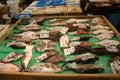 A selection of fish at Tsukiji fish market Tokyo Royalty Free Stock Photo
