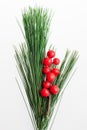 Selection of floral elements: pine tree and holly isolated on white background. Royalty Free Stock Photo