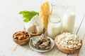 Selection of food that is rich in calcium Royalty Free Stock Photo