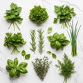 A selection of fresh herbs displayed on a white marble surface Royalty Free Stock Photo