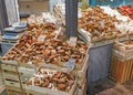 Porcini Mushrooms - Boletus edulis, Central Market, Florence, Italy. Royalty Free Stock Photo