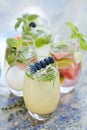 Summer fruit cocktails Royalty Free Stock Photo