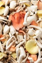 A selection of fresh uncooked exotic mushroom varieties