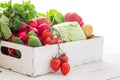 Selection of fresh vegetables from farmers market Royalty Free Stock Photo